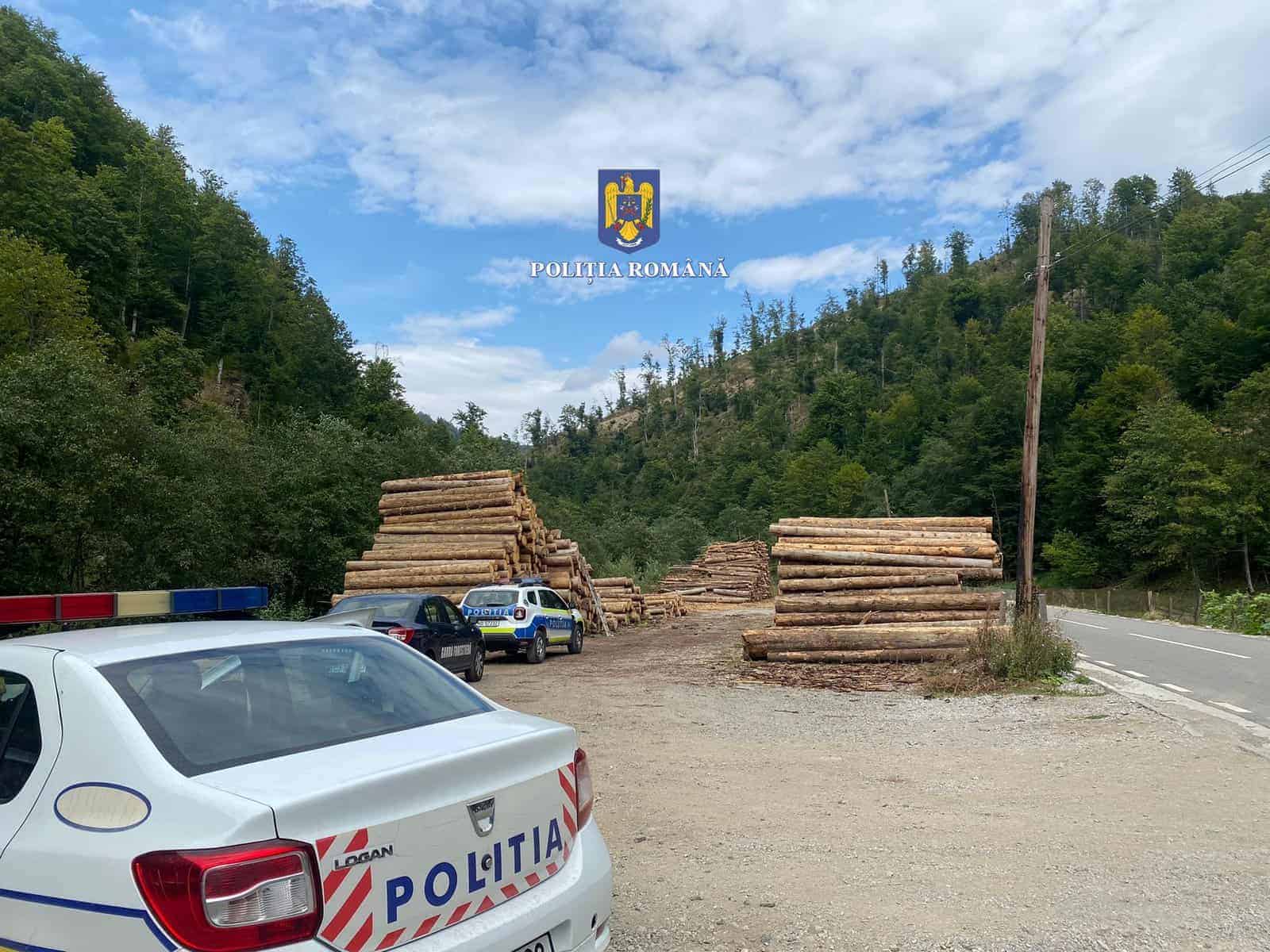 lemn amenzi politie (3)