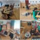 foto alba chess 2023: elevii şcolii din rimetea au jucat