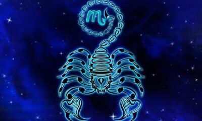 zodia scorpion 23 octombrie – 21 noiembrie. caracterizarea nativilor din
