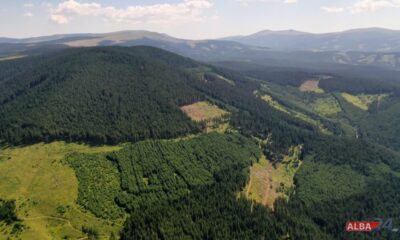 pădurile din românia vor fi monitorizate prin satelit. a fost