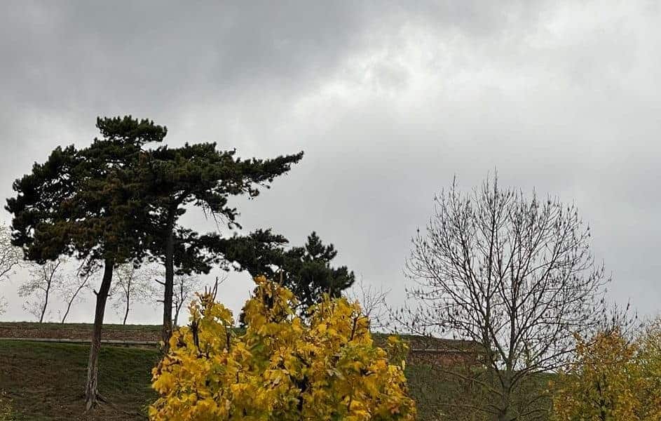 vremea în alba, în weekend 17 – 19 noiembrie: ploi