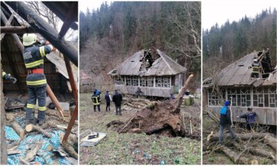 foto: copac căzut peste o casă, într un sat din apuseni.