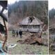 foto: copac căzut peste o casă, într un sat din apuseni.