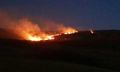 incendiu de vegetație la râmeț. pompierii și voluntarii se luptă