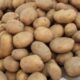 producătorii de cartofi pot primi de la stat un ajutor
