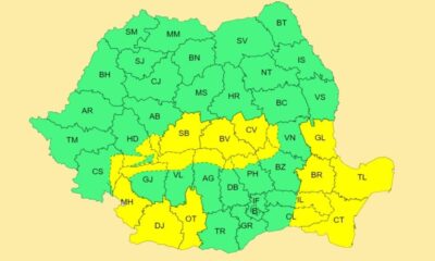 cod galben în județul alba și alte zone ale româniei.