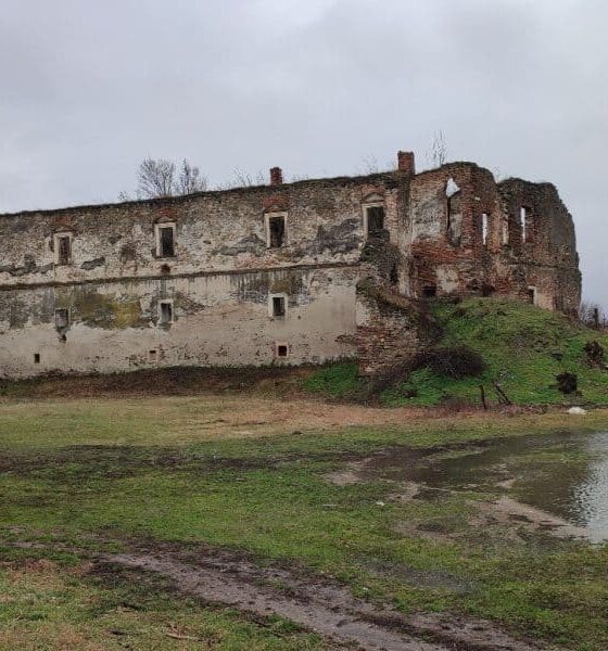 castelul martinuzzi din vințu de jos va fi restaurat și