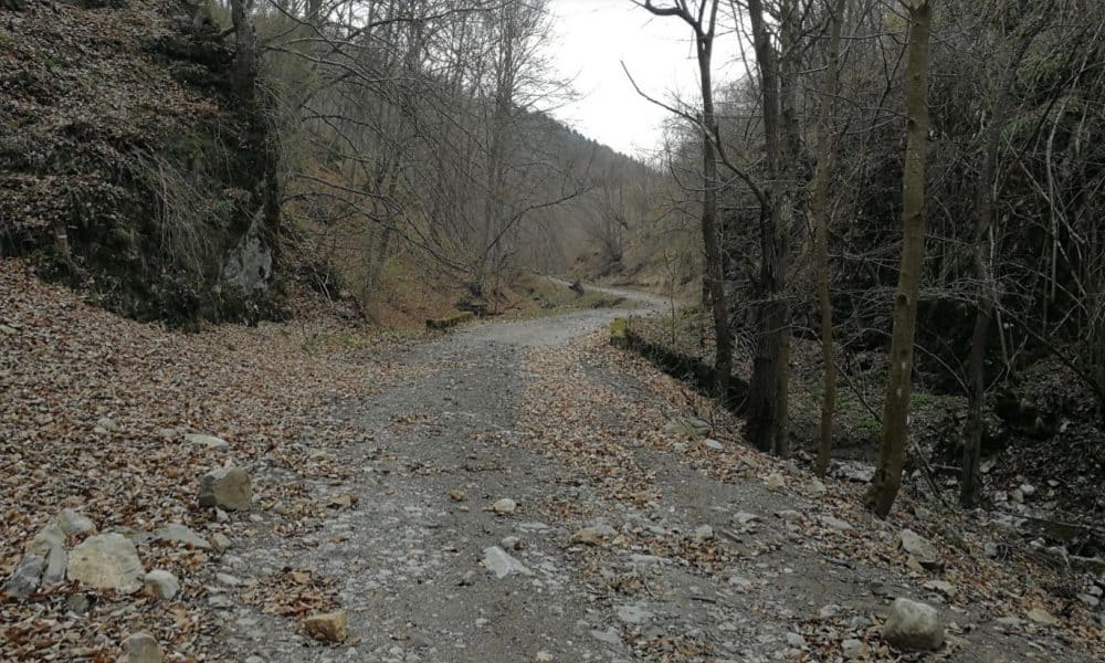 legea de trecere a unor drumuri forestiere de la romsilva,