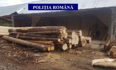lemn în valoare de peste 600.000 de lei, confiscat de