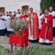 video floriile catolice: procesiune la catedrala romano – catolică ”sfântul