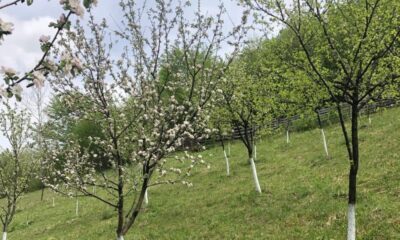 vremea în transilvania și în țară până în 7 aprilie: