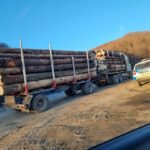 furt lemne camion.jpg