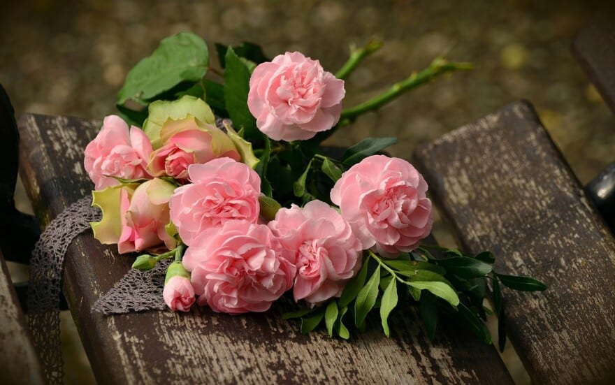 trandafiri valentine s day pixabay e1709884554779.jpg