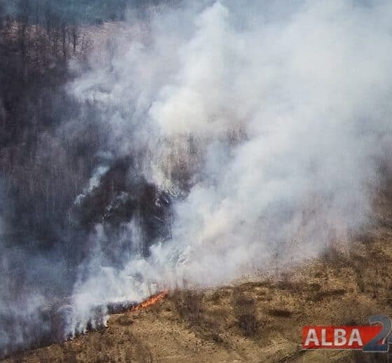 incendiu în apuseni: a luat foc vegetația uscată din marginea