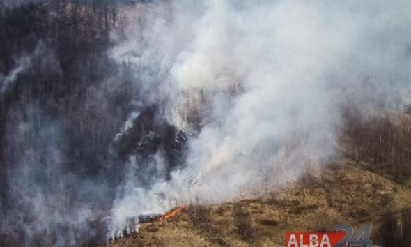 incendiu în apuseni: a luat foc vegetația uscată din marginea