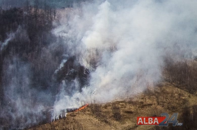 incendiu în apuseni: a luat foc vegetația uscată din marginea