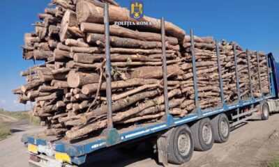 lemn în valoare de peste 80.000 de lei, confiscat de