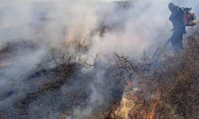 pompierii din alba atenționează privind pericolul incendiilor de vegetație. apel