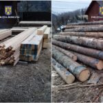 scutul pădurii: polițiștii din alba au confiscat 566 mc de