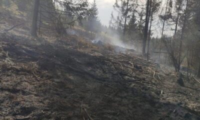 video: incendiu de vegetație uscată într un sat din scărișoara. pompierii