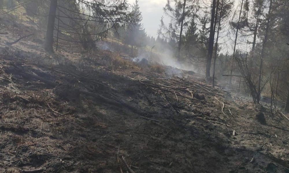 video: incendiu de vegetație uscată într un sat din scărișoara. pompierii