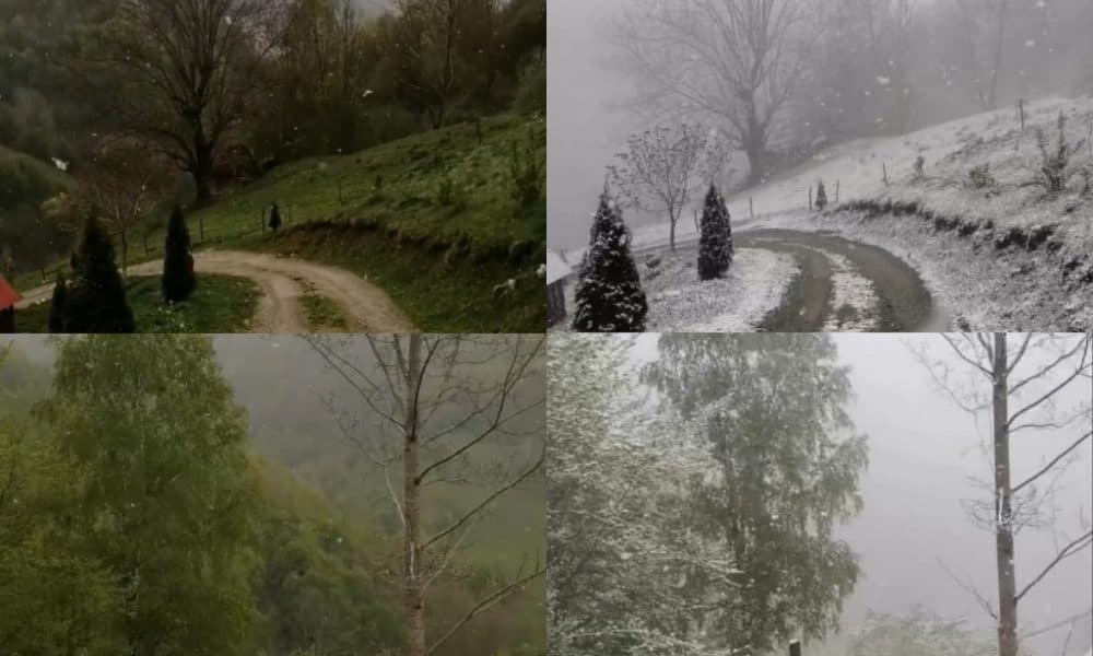 video: ninsori în apuseni. de la peisaj de primăvară la