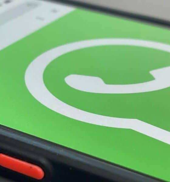 ce informații pot cere guvernele de la whatsapp, în ce