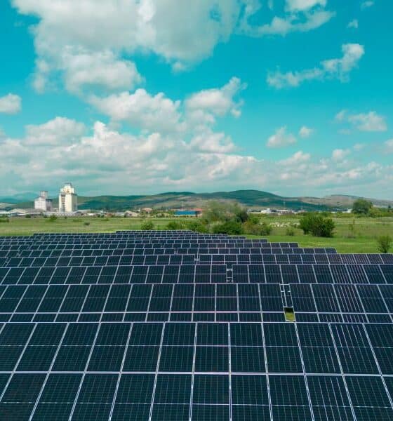 foto: parc fotovoltaic, finalizat la alba iulia. va asigura indeendența