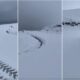 video: a nins pe dn 67c – transalpina. Șoseaua rămâne