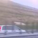 video: Șofer surprins în timp ce circula pe contrasens, pe