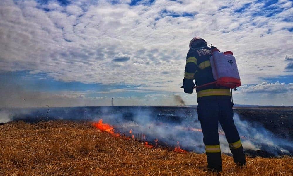incendiu pe șoseaua de centură a municipiului alba iulia. acționează