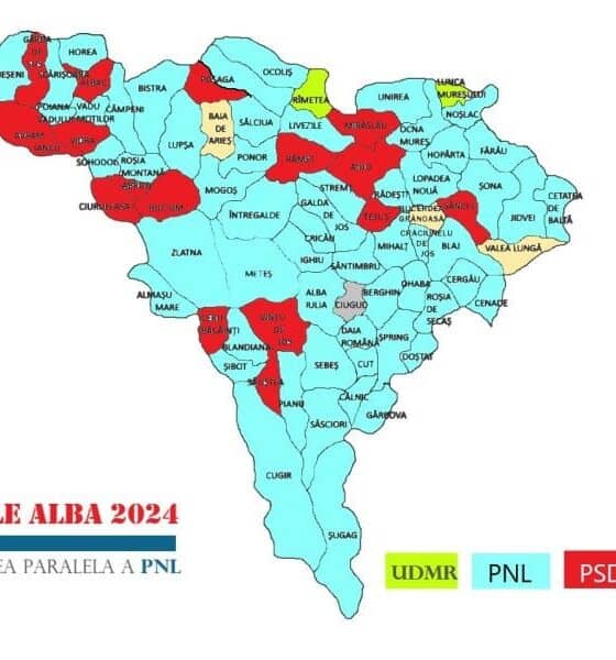 oficial: rezultate alegeri locale 2024 în alba. cine a câștigat