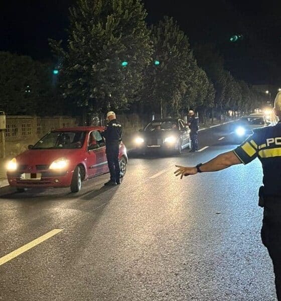 polițiștii din alba iulia au ”ieșit la vânătoare” de alba