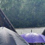vremea în alba în săptămâna 24 – 30 iunie 2024: