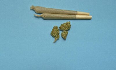 marijuana canabis pixabay.jpg