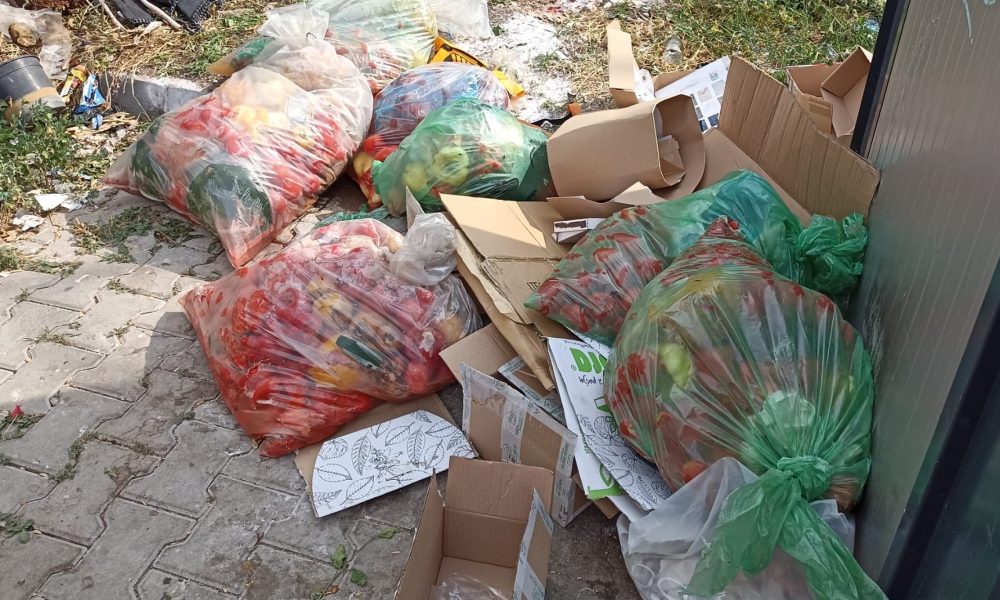 foto Știrea ta: saci cu legume stricate aruncați zilnic la