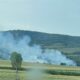 incendiu de vegetație uscată în zona kilometrului 50 a austostrăzii