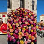 live video: parada rozelor, la aiud. a început festivalul „ziua rozelor”