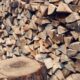 ”lovitură” pentru mafia lemnului din alba: un bărbat condamnat după