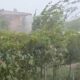 video Știrea ta: furtună la Șibot. vântul a suflat cu