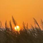 vremea în alba în weekend 12 – 15 iulie: zile
