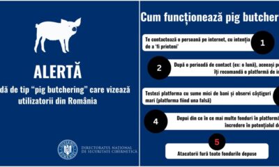 alertă dnsc: utilizatori din românia, vizați de tentative de fraudă