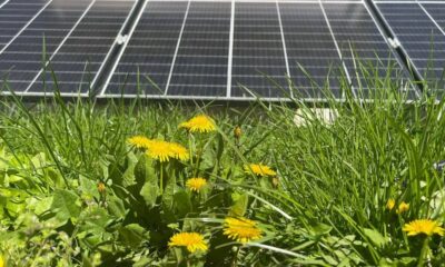 casa verde fotovoltaice 2024. când vor putea fi depuse cereri