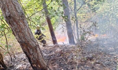 foto: incendiu de vegetație uscată, în cartierul pâclișa din alba