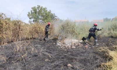 foto: incendiu de vegetație uscată în localitatea unirea. este afectată