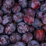 festivalul prunelor la bulbuc – ceru băcăinți: participanții vor putea