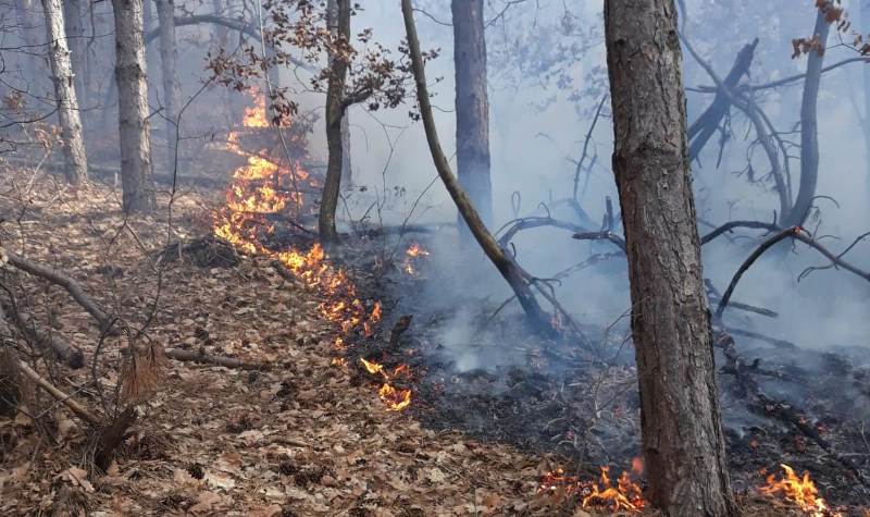 incendiu de litieră de pădure, la geomal. pompierii din aiud