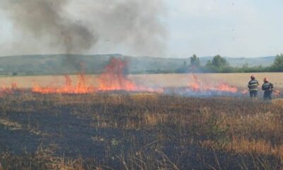 incendiu de vegetație uscată la oarda de sus pe o