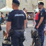 jandarmii din alba, la datorie de sărbătoarea „schimbării la față
