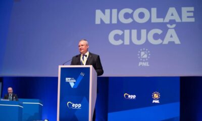 nicolae ciucă este candidatul pnl la prezidențiale. el a fost